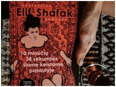 Knygos apžvalga (Book I Took). Elif Shafak „10 minučių 38 sekundės šiame keistame pasaulyje“ – o ji tiesiog norėjo būti laiminga