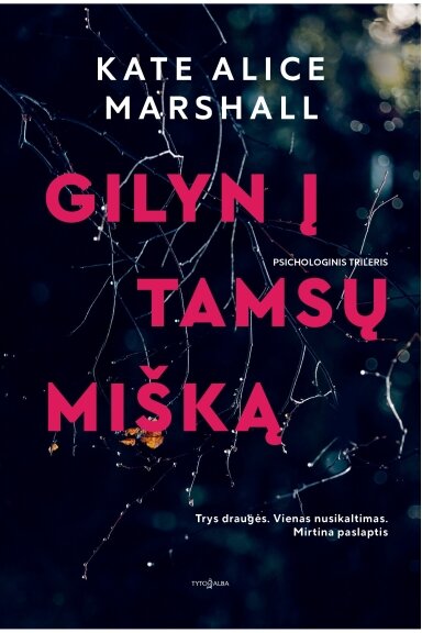 Gilyn į tamsų mišką