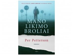 P. Pettersono „Mano likimo broliai“: išsiskyrimo liūdesys, savęs paieškos ir dovana skandinaviškos literatūros mėgėjams