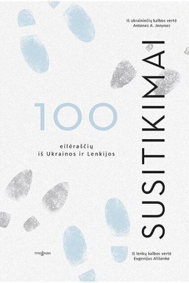 Susitikimai (KNYGA SU DEFEKTAIS)